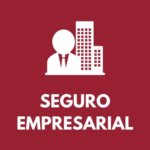 icone empresarial